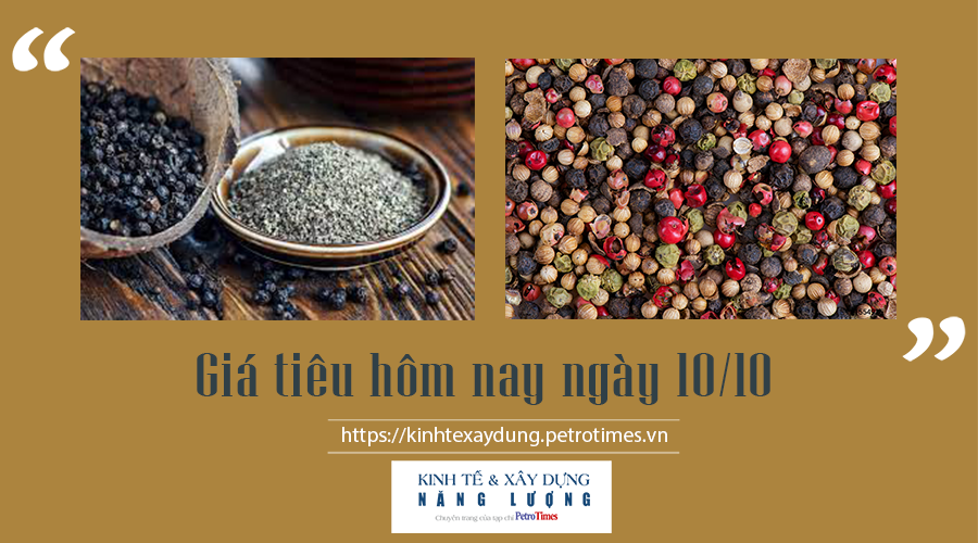Giá tiêu hôm nay ngày 10/10: Tiếp tục xu hướng tăng