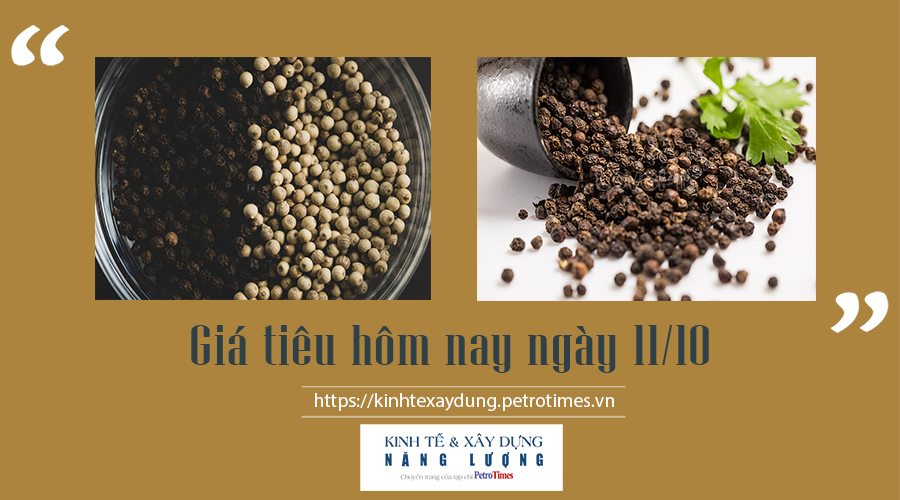 Giá tiêu hôm nay ngày 11/10: Tiếp tục tăng, cao nhất 85.000 đồng/kg