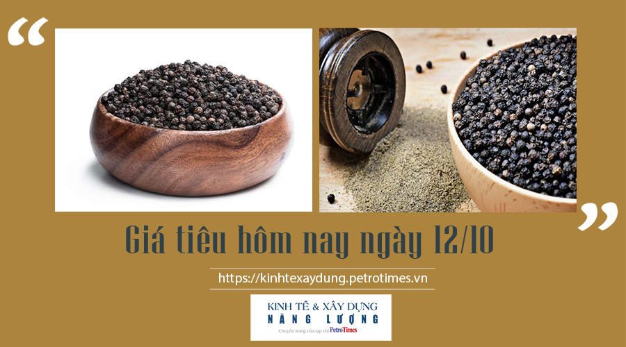 Giá tiêu hôm nay ngày 12/10: Thiết lập đỉnh mới 88.000 đ/kg