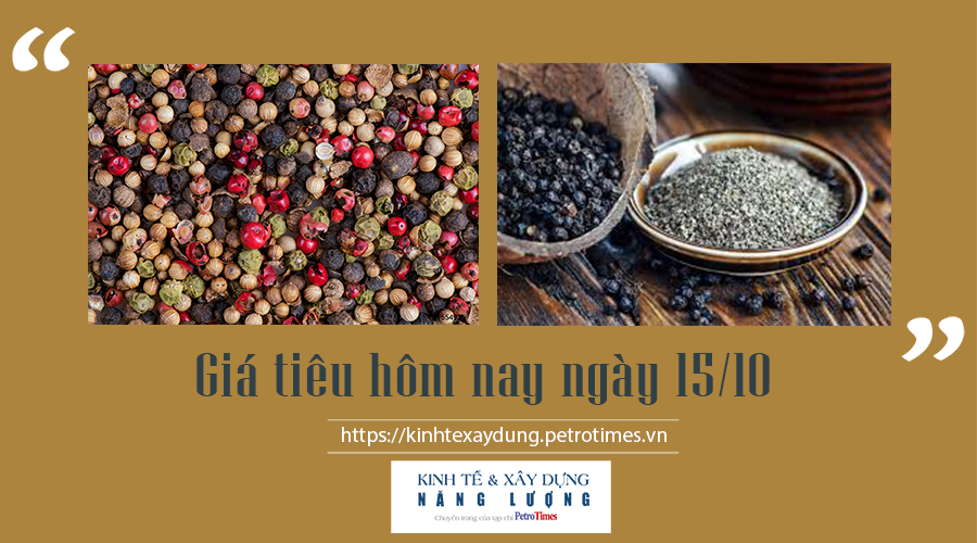 Giá tiêu hôm nay ngày 15/10: Đồng loạt tăng thêm 1.000 đ/kg