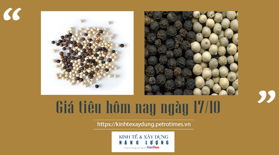 Giá tiêu hôm nay ngày 17/10: Vẫn duy trì ở mức cao