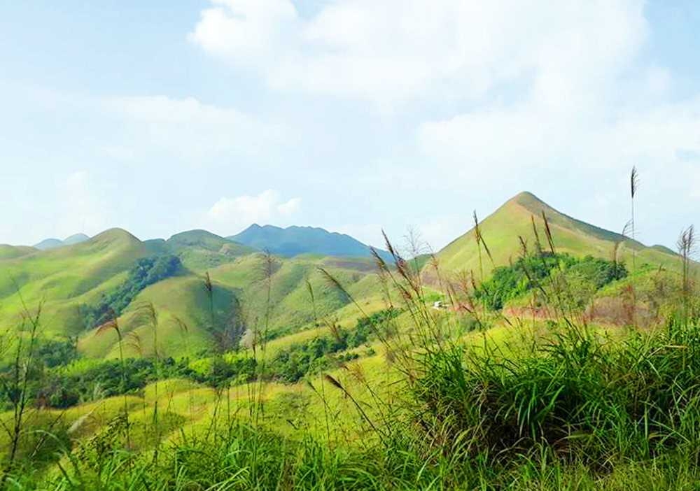 Mùa cỏ lau ở Bình Liêu Mùa cỏ lau ở Bình Liêu