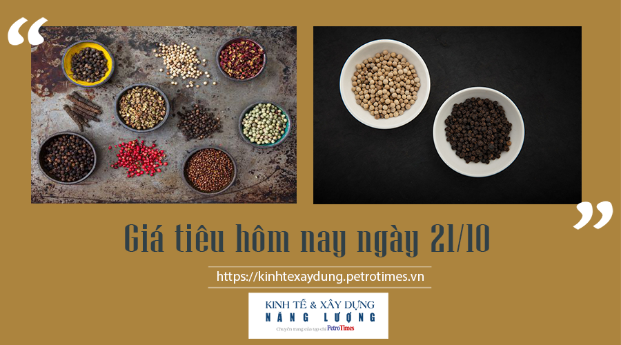 Giá tiêu hôm nay ngày 21/10: Tăng nhẹ, cao nhất 89.500 đ/kg