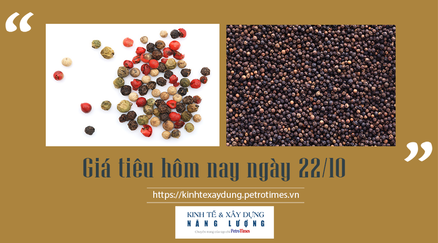 Giá tiêu hôm nay ngày 22/10: