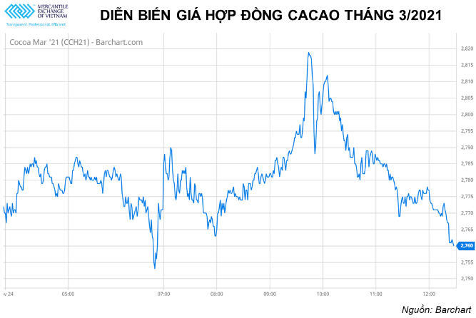 Giá cacao tiếp tục tăng mạnh trong khi giá bông quay đầu giảm