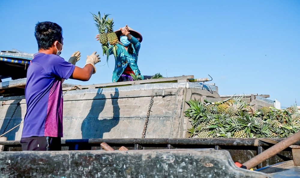 Chợ nổi Cái Răng “vui trở lại” Chợ nổi Cái Răng “vui trở lại”
