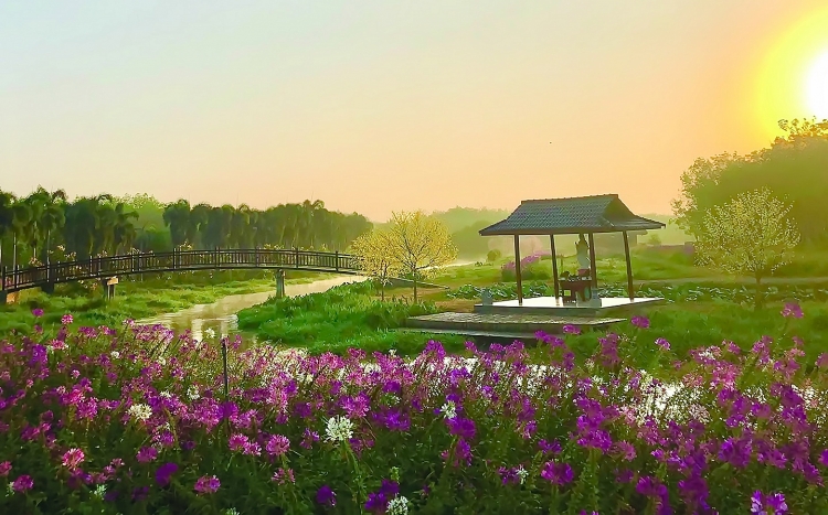 Qua miền Đôn Thuận