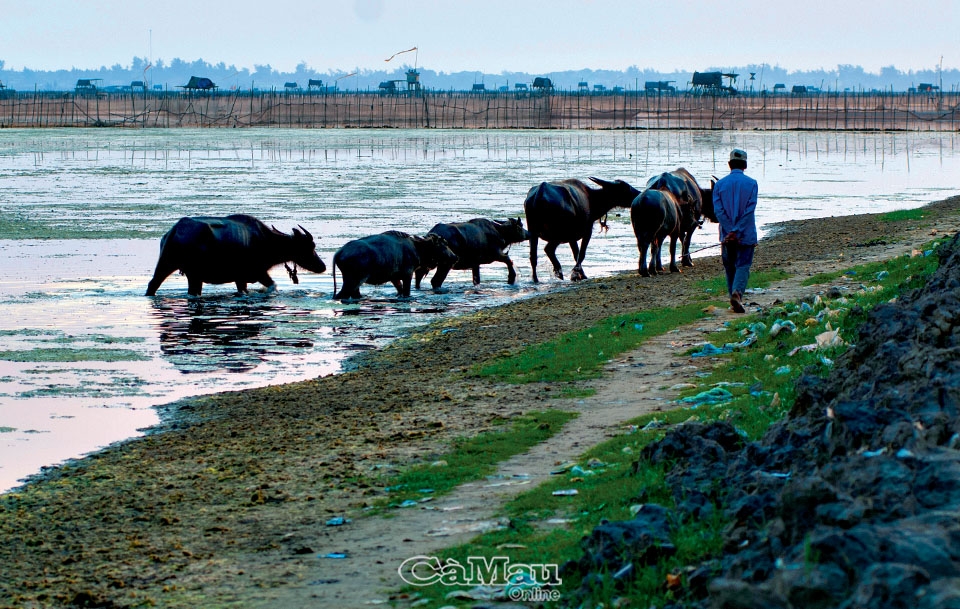 Mênh mang phá Tam Giang