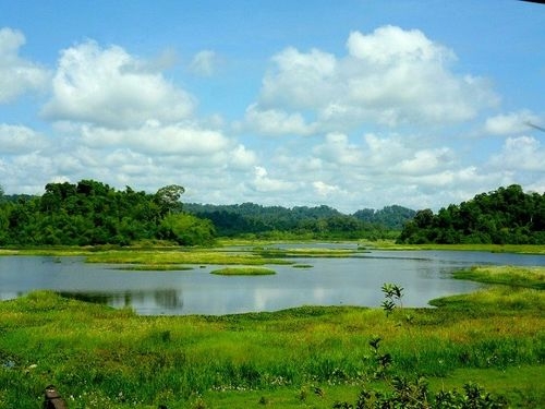 Khám phá Bàu Sấu (VQG Cát Tiên) - Trái tim của rừng Khám phá Bàu Sấu (VQG Cát Tiên) - Trái tim của rừng