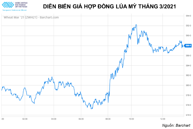Nông sản thế giới: Đậu tương giảm do thời tiết thuận lợi trong khi ngô và lúa mỳ tăng nhờ lực mua kỹ thuật
