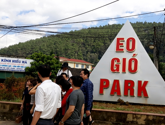 Đồi thông Eo Gió - Điểm đến hòa mình vào thiên nhiên Đồi thông Eo Gió - Điểm đến hòa mình vào thiên nhiên