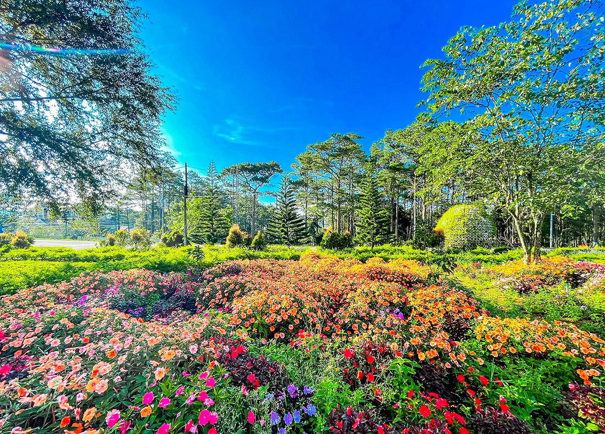 Đắm say vẻ đẹp Măng Đen khi đông về