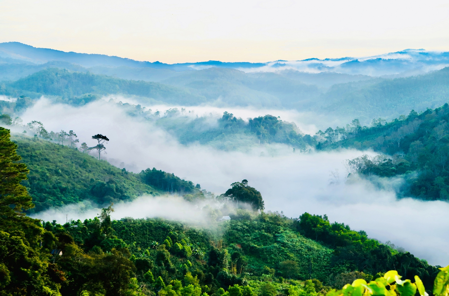 Đắm say vẻ đẹp Măng Đen khi đông về