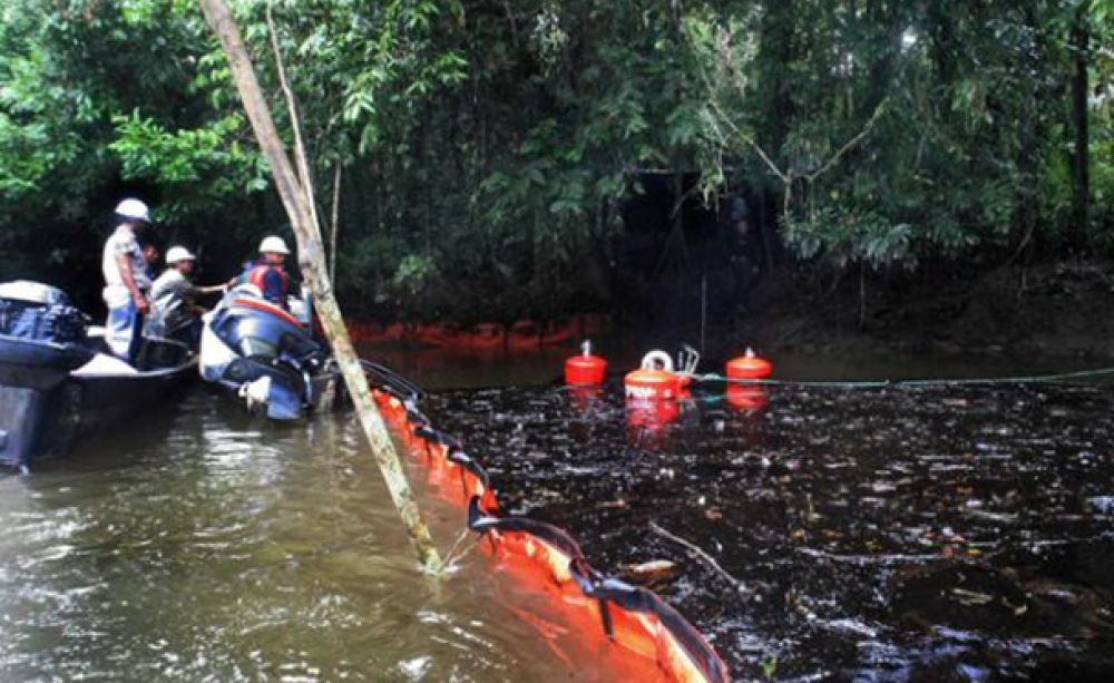 vo duong ong ecuador giam san xuat dau
