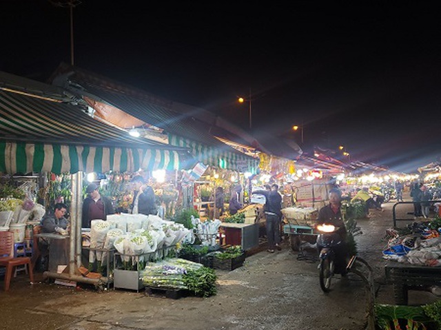Chợ hoa Tết sầm uất nhất Hà Nội vắng chưa từng có vì dịch Covid-19 - 5