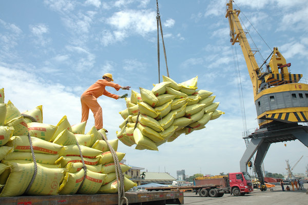 Tín hiệu tích cực từ thị trường xuất khẩu gạo vzx
