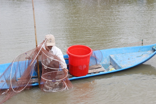 Nghề nuôi cá kèo sống khỏe dịp Tết, bỏ túi cả chục triệu đồng mỗi ngày - 1 Nghề nuôi cá kèo sống khỏe dịp Tết, bỏ túi cả chục triệu đồng mỗi ngày - 1