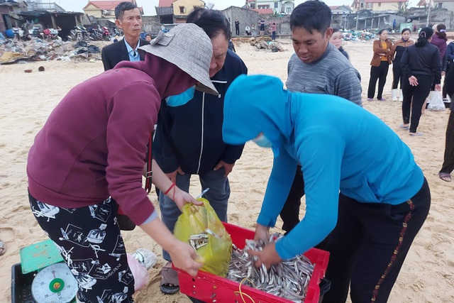 Ngư dân bãi ngang vui mừng trúng lộc biển những ngày đầu năm mới - 5 Ngư dân bãi ngang vui mừng trúng lộc biển những ngày đầu năm mới - 5