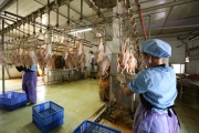 Quản chặt việc vận chuyển, giết mổ gia súc, gia cầm