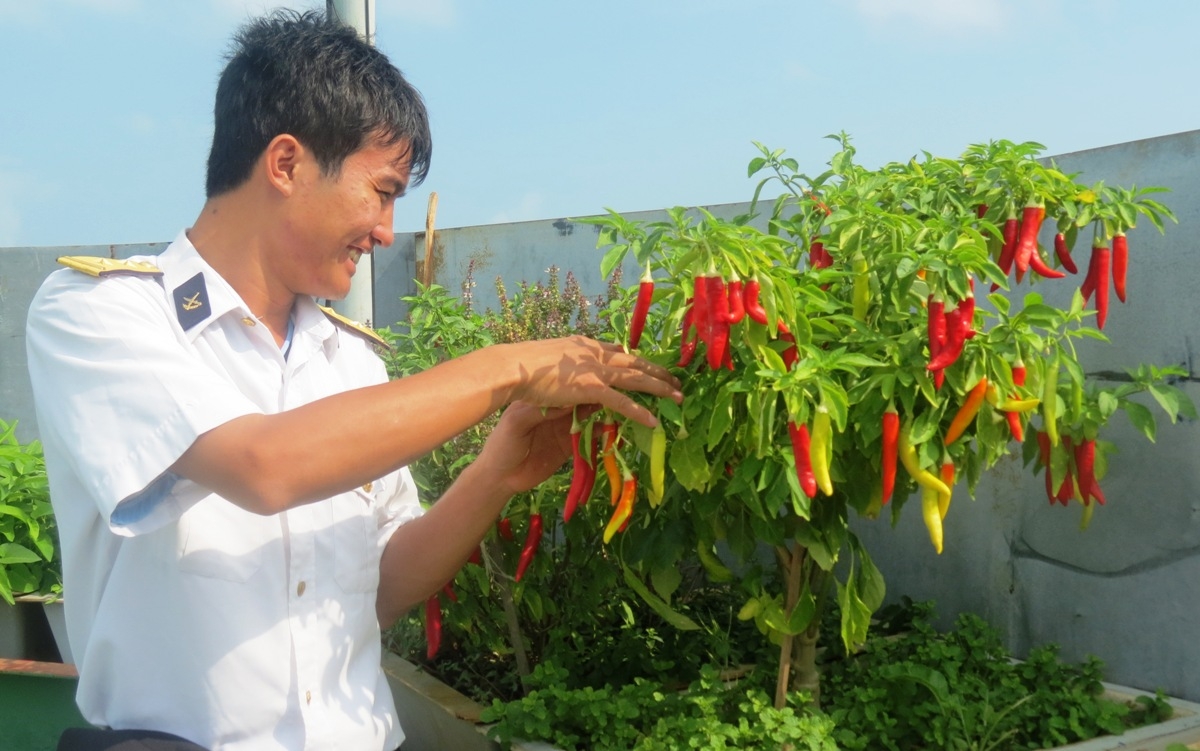 Kỷ niệm 32 năm thành lập nhà giàn DK1 (5/7/1989-5/7/2021): Những cột mốc xanh trên biển