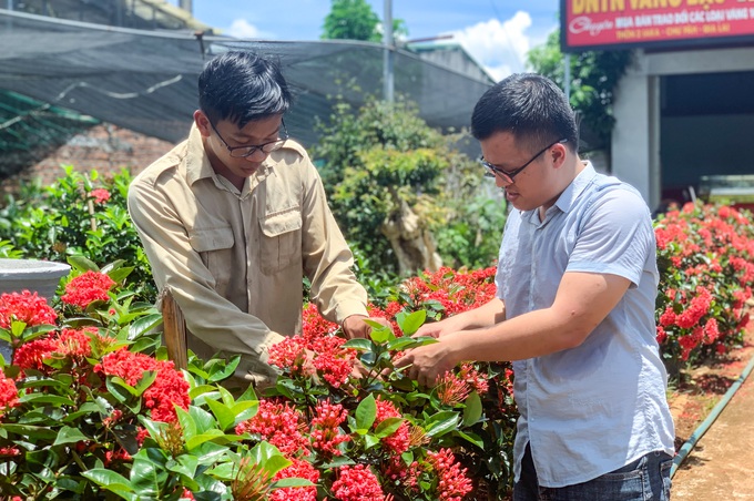 Cán bộ xã vùng khó trồng hoa mẫu đơn, bất ngờ hút khách check-in - 2 Cán bộ xã vùng khó trồng hoa mẫu đơn, bất ngờ hút khách check-in - 2