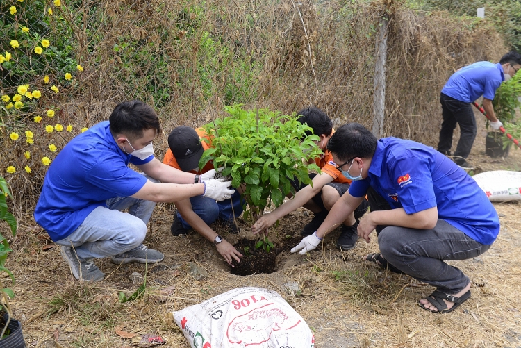 Đoàn viên thanh niên Cụm phối hợp hoạt động Bà Rịa - Vũng Tàu ra quân Ngày đoàn viên