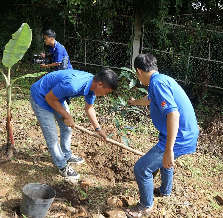 Đoàn Thanh niên Vietsovpetro khu vực Cụm Cảng phối hợp với Thành đoàn Vũng Tàu tổ chức ngày “Chủ nhật Xanh”