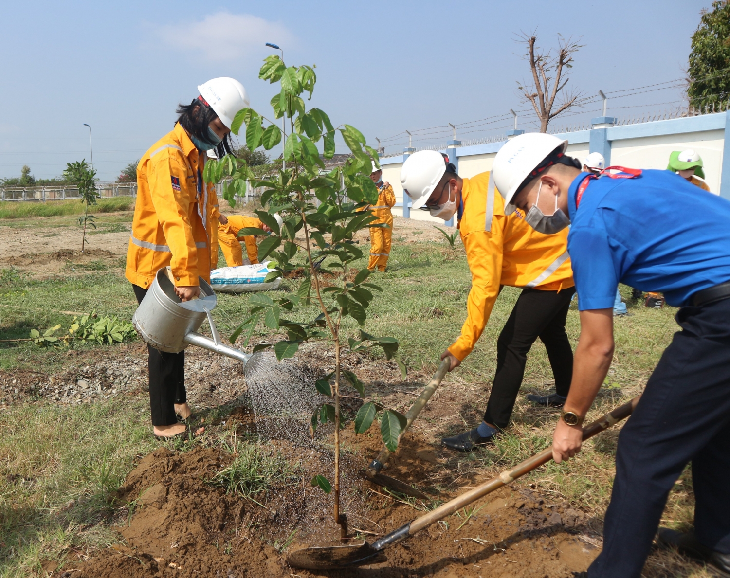 100 cây xanh được trồng trong đợt này