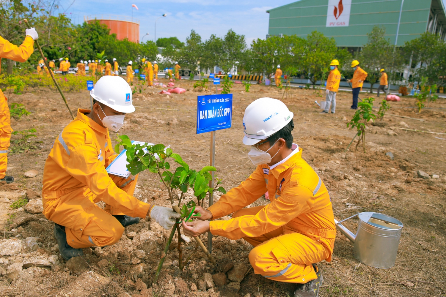 KVT tổ chức “Tết trồng cây” năm 2022 tại Kho cảng PV GAS Vũng Tàu