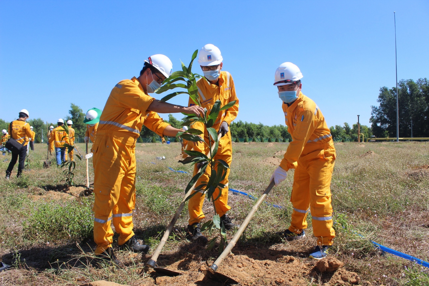 KĐN tiếp tục chương trình trồng cây trên công trình khí tại Trung tâm Phân phối Khí Nhơn Trạch