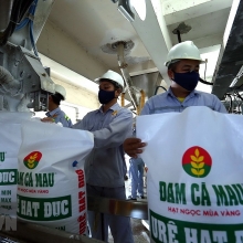tong giam doc pvn lam viec tai cum khi dien dam ca mau
