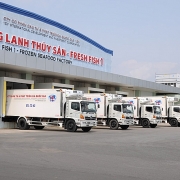 Vì đâu cổ phiếu IDI tăng bằng lần?