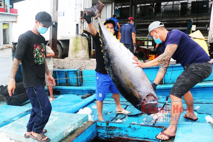 Khánh Hòa: Rộn ràng chuyến biển xuyên Tết