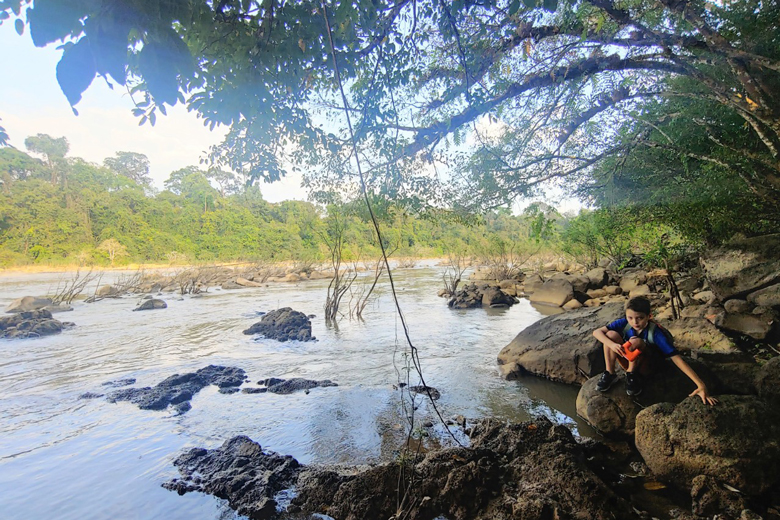Lặng ngắm rừng Cát Tiên