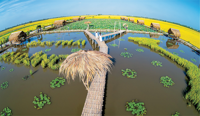 Du lịch nông nghiệp - làn gió mới thúc đẩy phát triển kinh tế du lịch