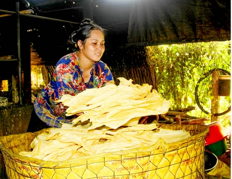 Du lịch Vĩnh Long mở hướng đi mới Du lịch Vĩnh Long mở hướng đi mới