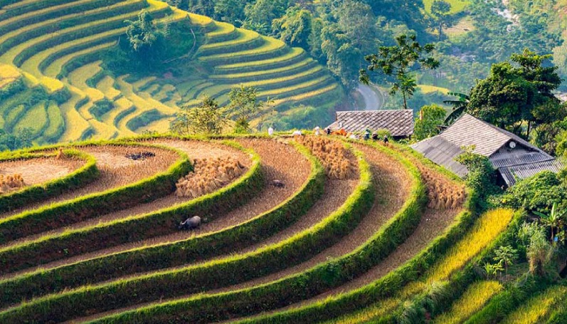 Xuân này, đi du lịch miền rẻo cao Đông Bắc