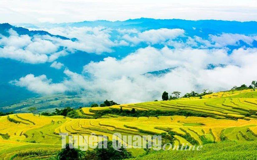 Gắn du lịch với nông nghiệp Gắn du lịch với nông nghiệp