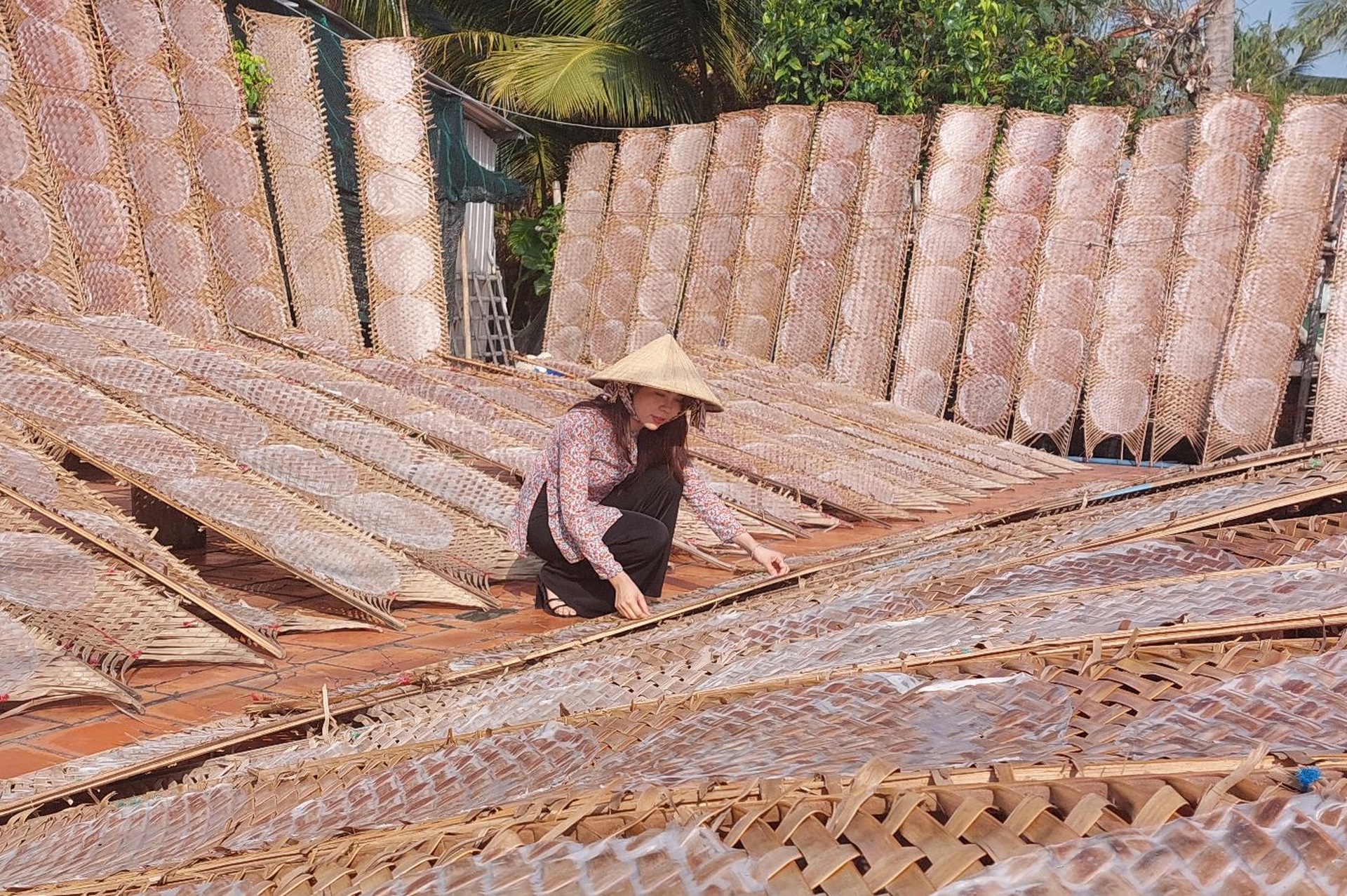 Làng nghề bánh tráng 100 tuổi tất bật những ngày giáp Tết - 1