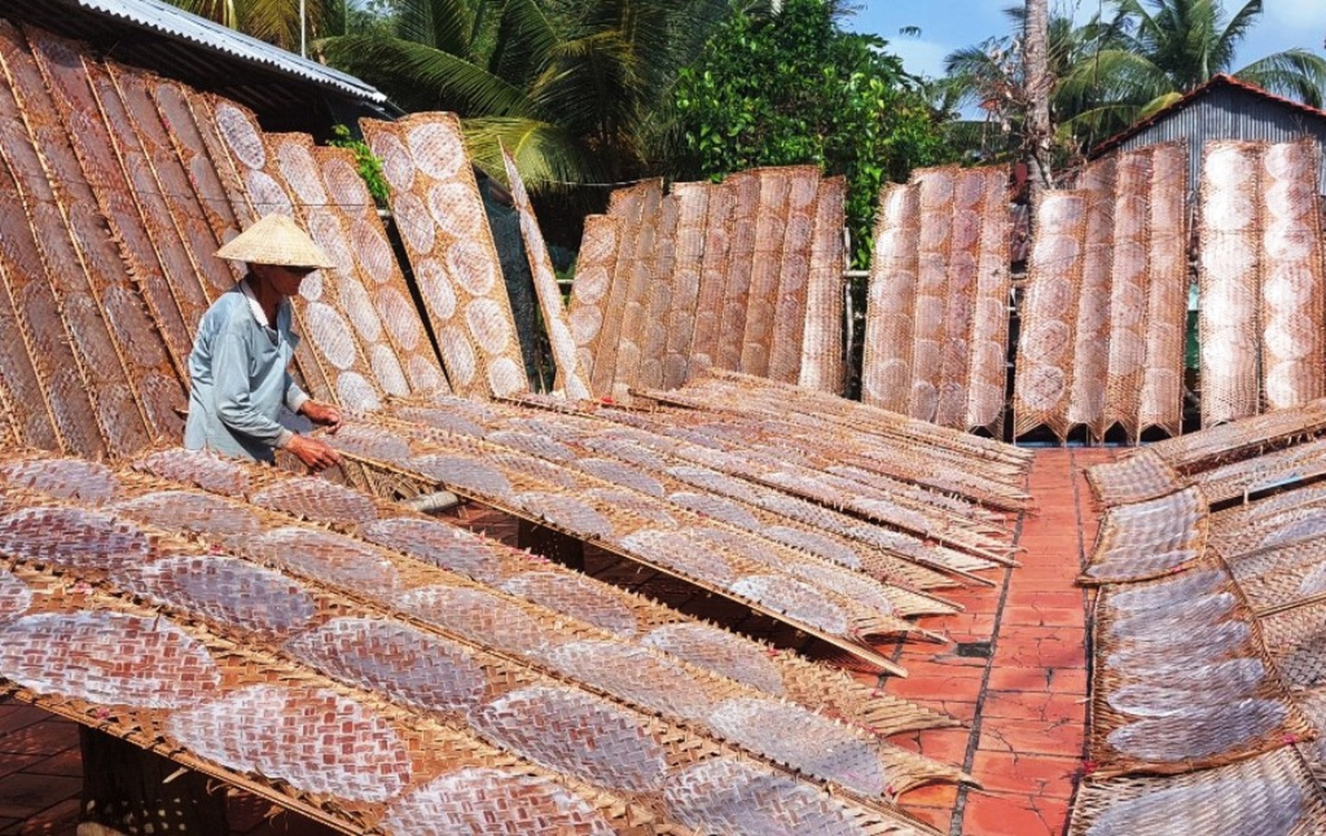 Làng nghề bánh tráng 100 tuổi tất bật những ngày giáp Tết - 5