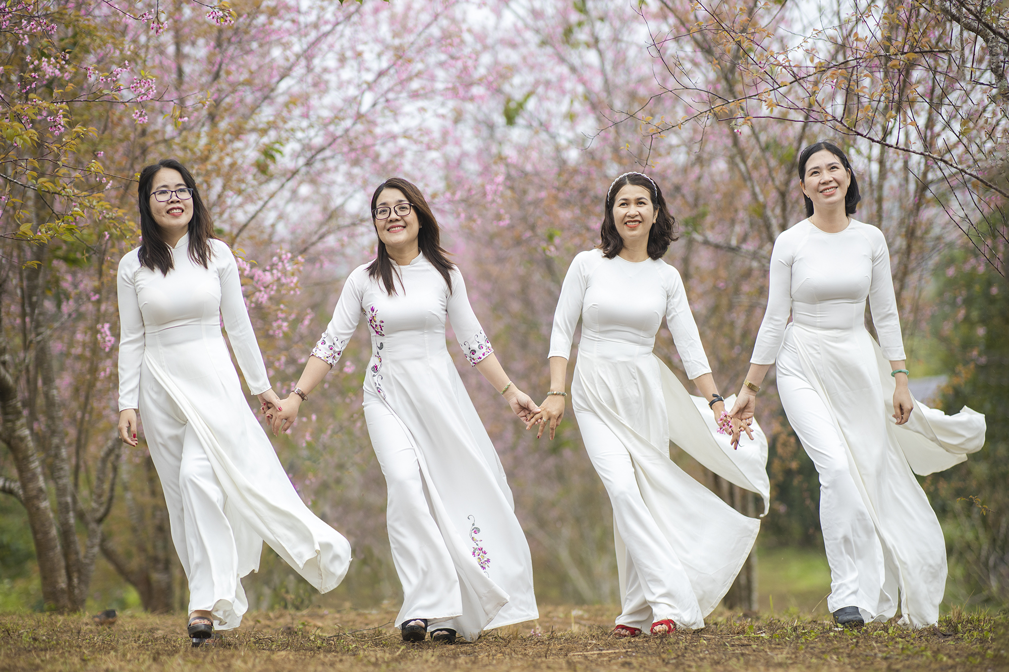 Ngắm mai anh đào nở ở Măng Đen