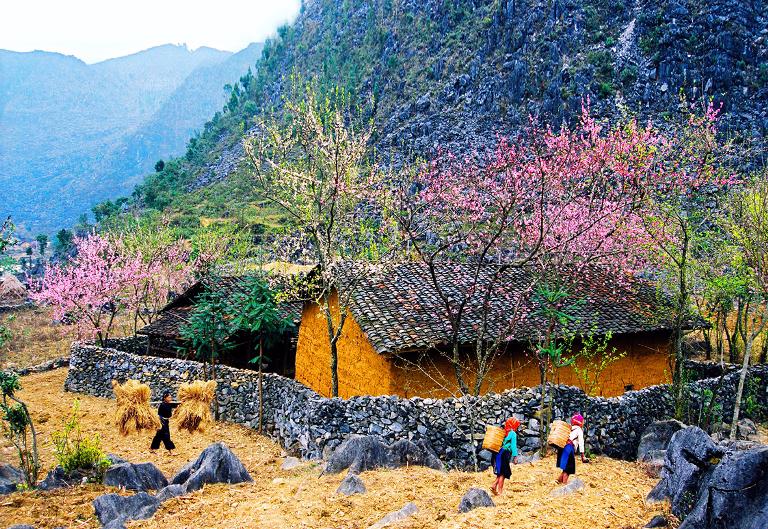 Sắc xuân trên cao nguyên đá Hà Giang