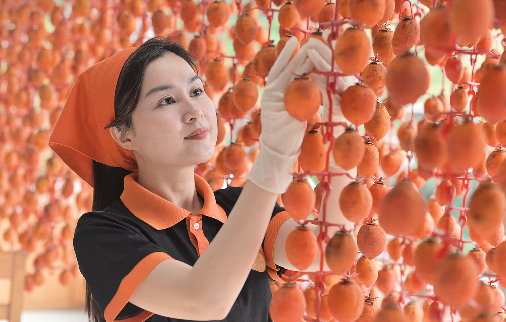 Nhớ những mùa hồng Nhớ những mùa hồng