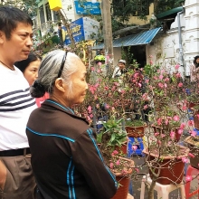 banh chung ky su
