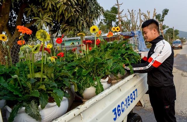 Người dân ăn ngủ cùng hoa ngày cận Tết - 7