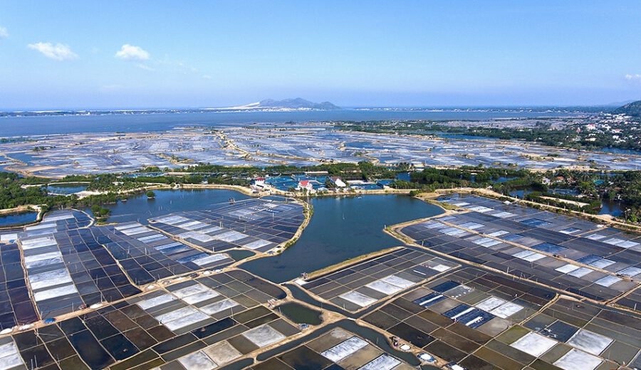 Đồng muối Đề Gi - Bảng màu vẽ của thiên nhiên