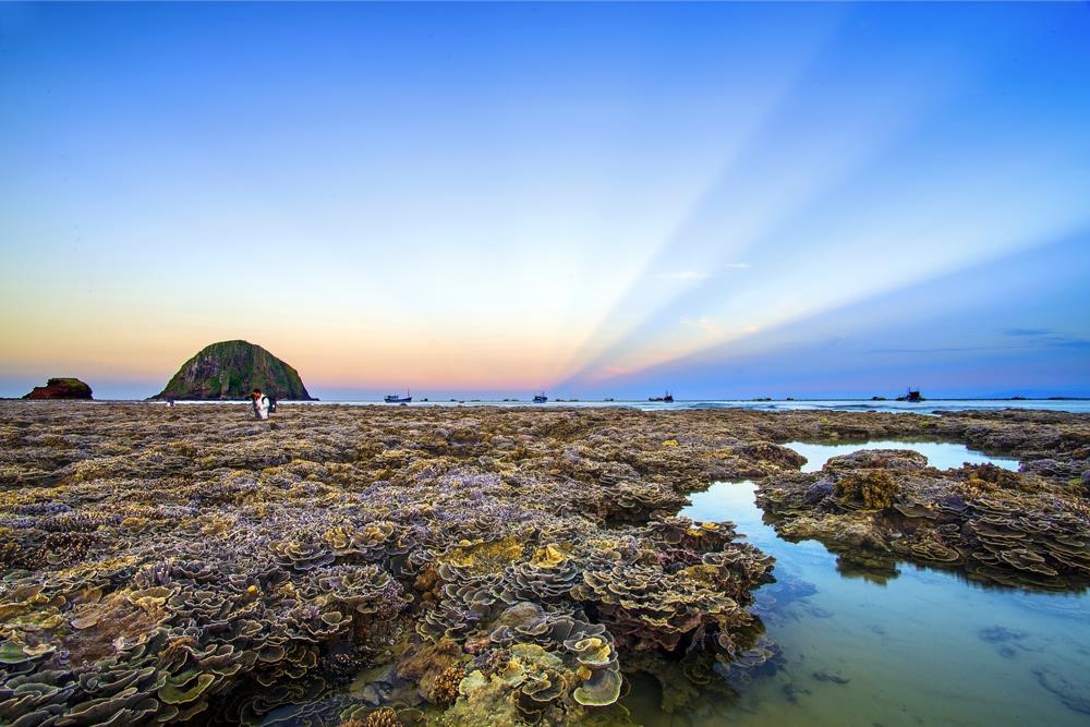 Hòn Yến   Thiên đường san hô trên cạn