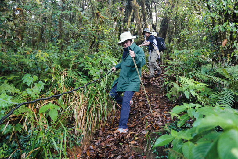 Chinh phục đỉnh Bidoup, 