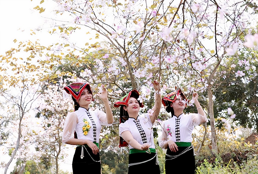 Yên Bái: Tháng Ba Nghĩa Lộ, trắng trời hoa ban
