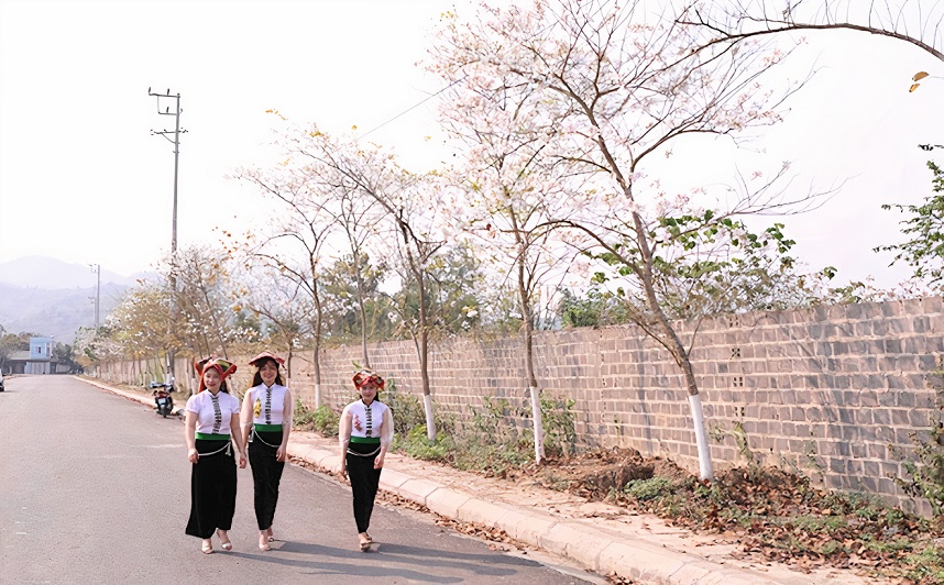 Yên Bái: Tháng Ba Nghĩa Lộ, trắng trời hoa ban